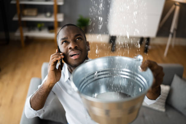 Best Water damage restoration near me  in West Elmira, NY