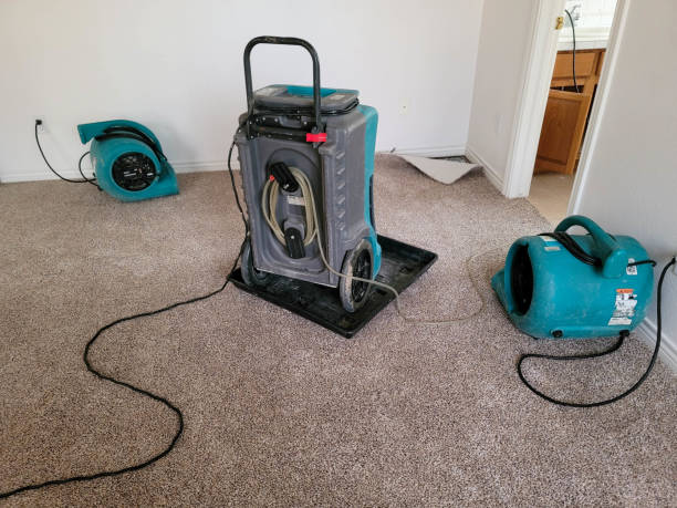 Best Mold removal after water damage  in West Elmira, NY