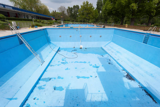 Best Water damage restoration experts  in West Elmira, NY