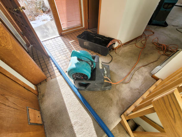 Best Water damage cleanup near me  in West Elmira, NY