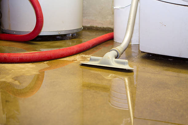 Best Water damage restoration near me  in West Elmira, NY